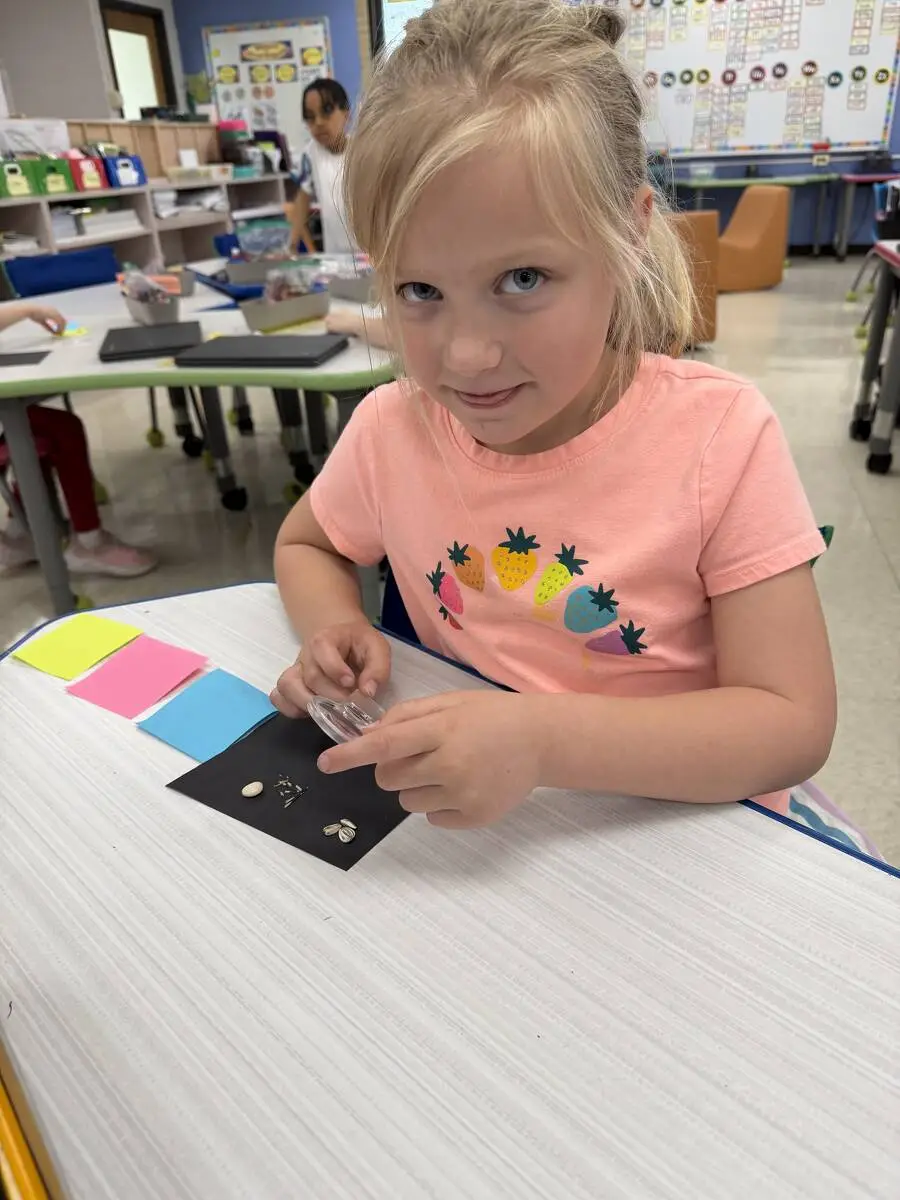 A first grader examines her seeds.