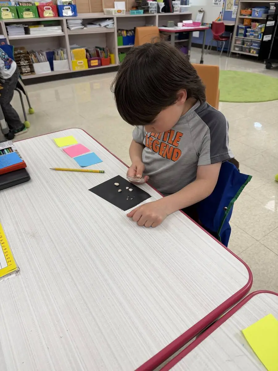 A first grader examines his seeds.